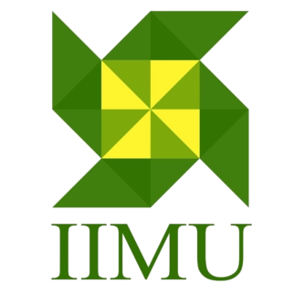 IIMU